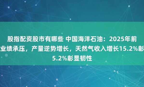 股指配资股市有哪些 中国海洋石油：2025年前三季度业绩承压，产量逆势增长，天然气收入增长15.2%彰显韧性